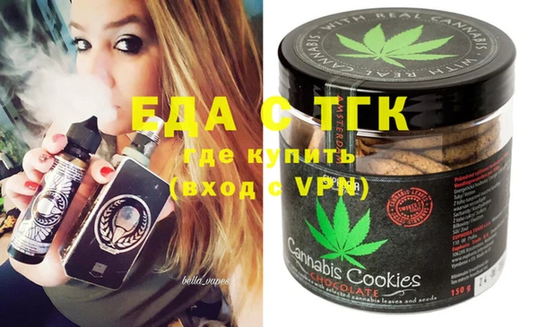 индика Абаза