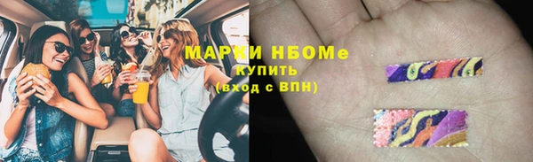 индика Абаза