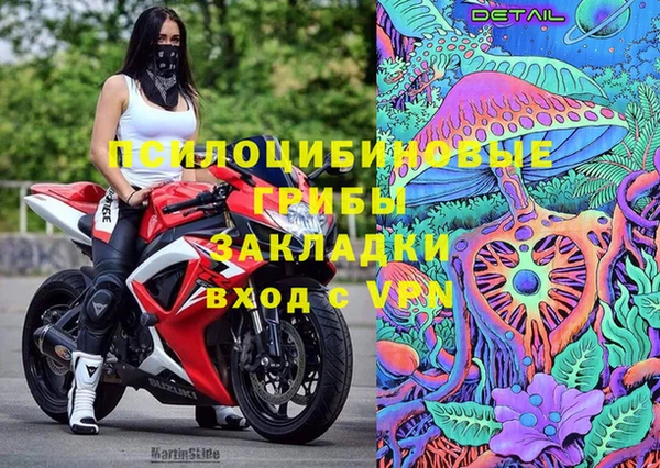 индика Абаза