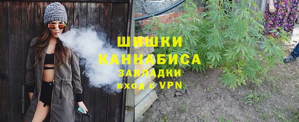 индика Абаза