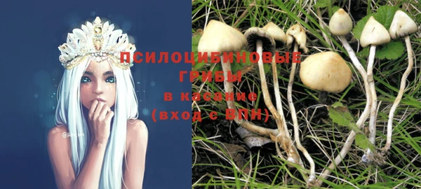 метадон Новозыбков