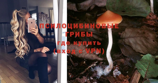 а пвп мука Новодвинск