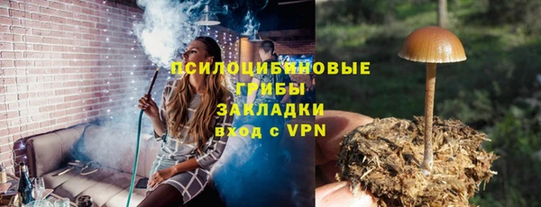 амф Новокубанск