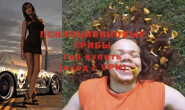 метадон Новозыбков